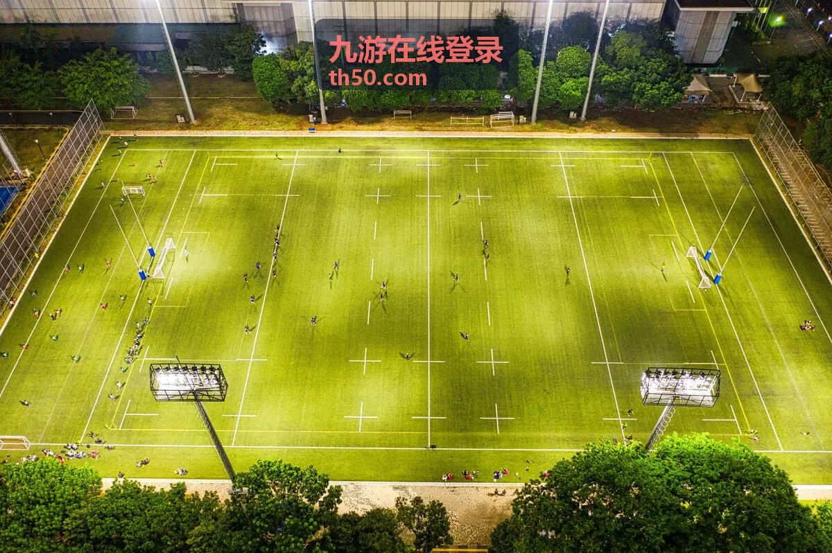 九游在线登录入口页面与账号验证环节示意