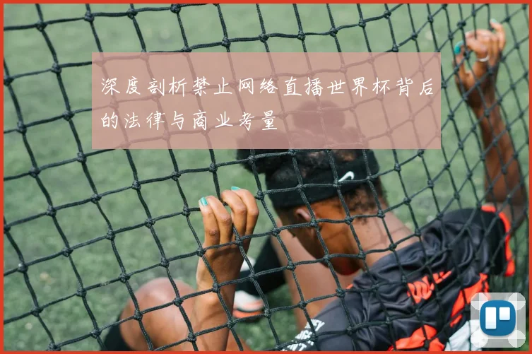 深度剖析禁止网络直播世界杯背后的法律与商业考量