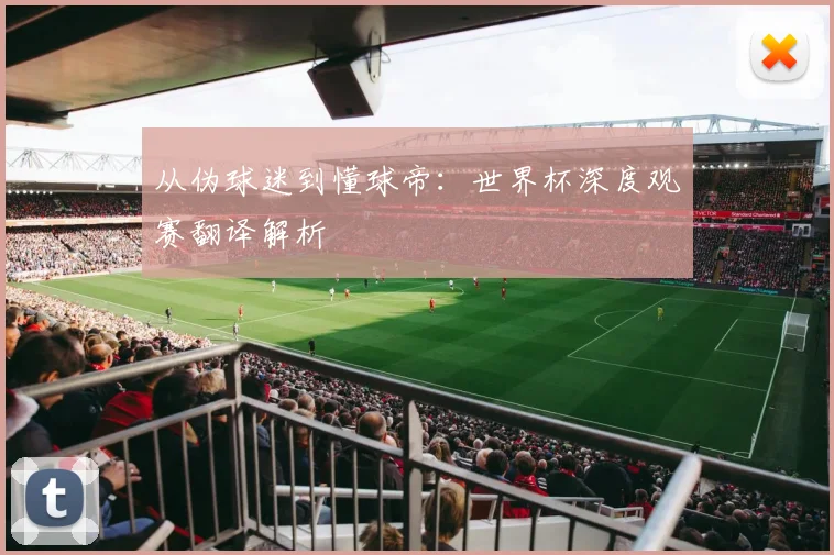 从伪球迷到懂球帝:世界杯深度观赛翻译解析