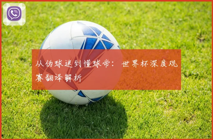 从伪球迷到懂球帝:世界杯深度观赛翻译解析
