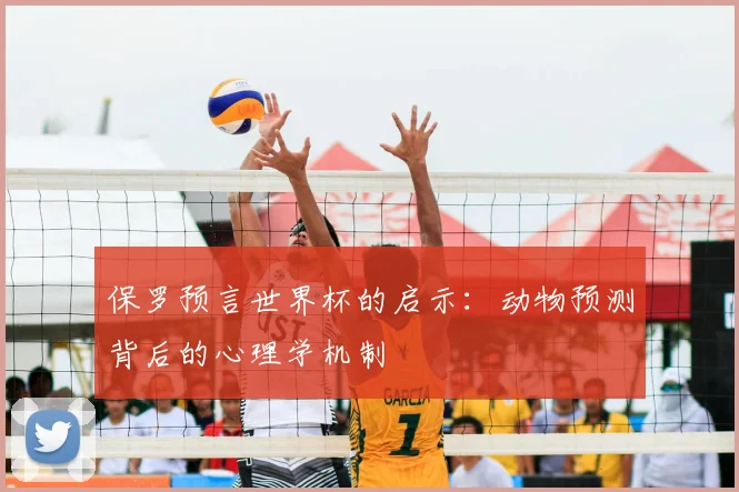 保罗预言世界杯的启示:动物预测背后的心理学机制
