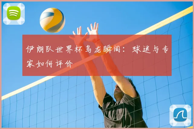 伊朗队世界杯乌龙瞬间:球迷与专家如何评价