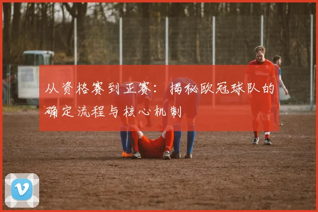 从资格赛到正赛：揭秘欧冠球队的确定流程与核心机制