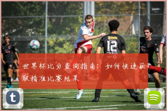 世界杯比分查询指南：如何快速获取精准比赛结果