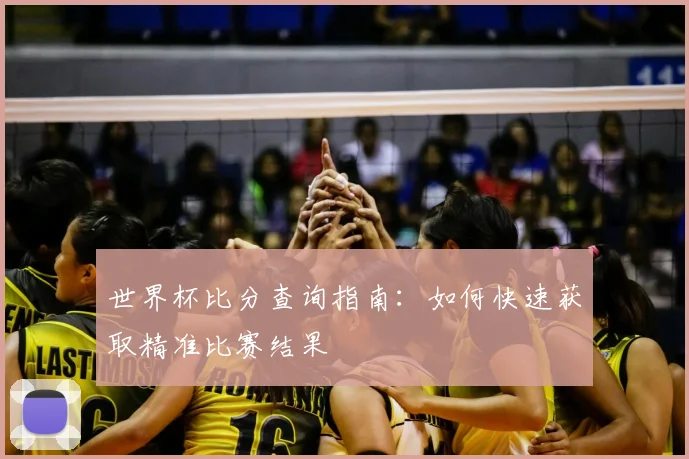 世界杯比分查询指南：如何快速获取精准比赛结果