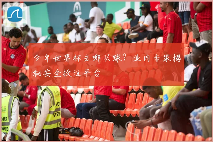 今年世界杯去哪买球？业内专家揭秘安全投注平台