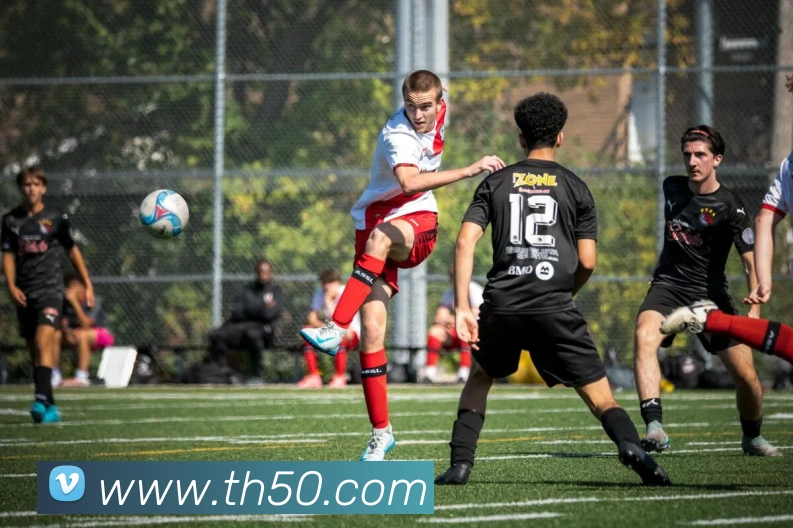 App Interface Preview