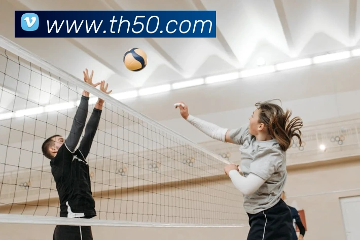 9游会官网入口APP 封面图